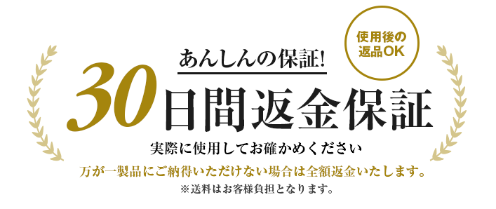 30日間返金保証